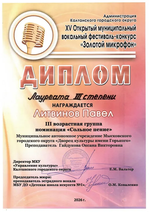 28.03.2026_Золотой микрофон_Калтан_Литвинов Павел_ДЛ III ст.