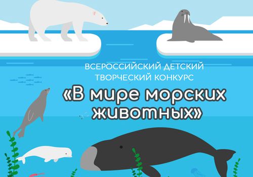 Всероссийский детский творческий конкурс «В мире морских животных», г.Екатеринбург